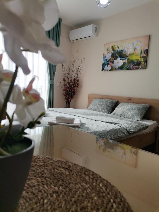 Jana Apartment Ohrid Bagian luar foto