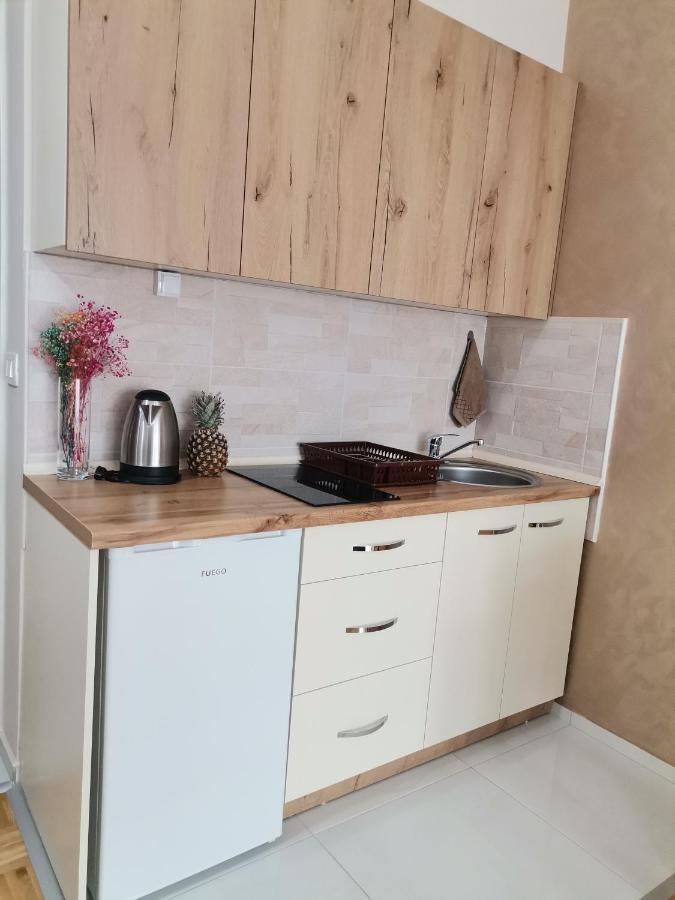 Jana Apartment Ohrid Bagian luar foto